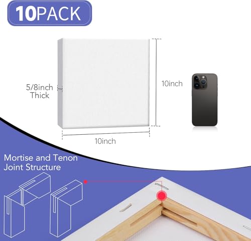 ESRICH 10x10 Stretched Canvas for Painting, 10 Pack Square Canvas for Painting Primed Acid-Free Framed Blank Canvas, Art Canvases for Beginners & Artists to Paint Oil, Acrylic, Pouring Painting. - size: 10X10IN 10 Packs