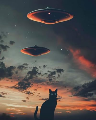 Tucocoo UFO Paint by Bumbers for Adults Beginner Black Cat DIY Paint by Numbers Acrylic Paint Canvas Sunset Moon Bedroom Decor Fantasy Scene Dark Clouds Painting Kits Art 16x20 Inch （DIY Frame ） - color: Ufo 02, size: 16''x20''(DIY Frame)