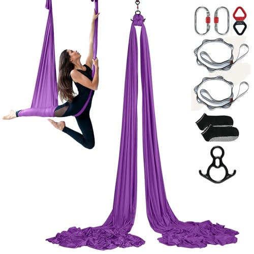 VEVOR Aerial Silk & Yoga Swing, Aerial Yoga Hammock Kit with 100gsm Nylon Fabric, Full Rigging Hardware & Easy Set-up Guide, Antigravity Flying for All Levels Fitness Bodybuilding - color: Purple, size: 8.7 Yards