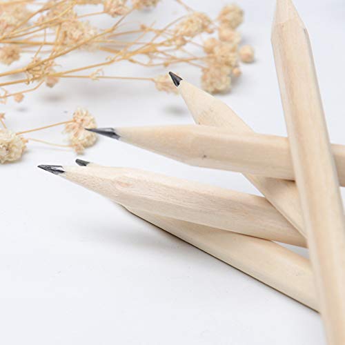 Wood Cased 2B Graphite Pencils for Drawing Sketching Writing Tests Exam Artists Beginners Home Office Supplies (18)