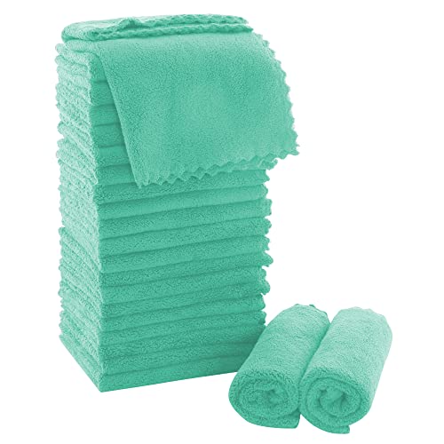MOONQUEEN Ultra Soft Premium Washcloths Set - 12 x 12 inches - 24 Pack - Quick Drying - Highly Absorbent Coral Velvet Bathroom Wash Clothes - Use as Bath, Spa, Facial, Fingertip Towel (Aqua Green) - color: Aqua Green, size: 12 x 12 Inch(Pack of 24)