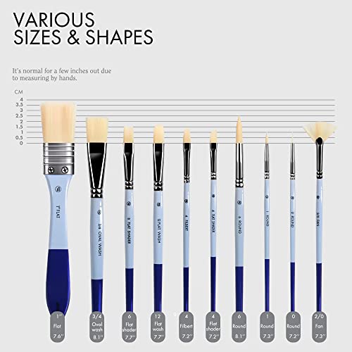 ARTIFY 10 Pieces Paint Brush Set, Intermediate Series, Includes a Carrying Case, Premium Synthetic Hair Brushes for Acrylic, Watercolor, Oil and Gouache Painting (Blue - Synthetic Hair) - color: Blue