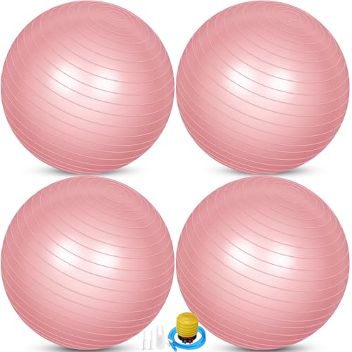 Leyndo 4 Pcs 26 Inch Yoga Exercise Ball Pilates - color: Light Pink