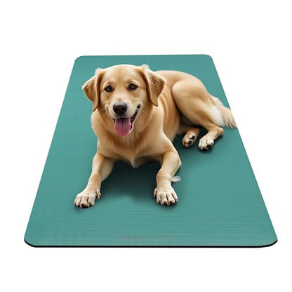 Gaiam Thick Yoga Mat, Exercise & Fitness Mat with Easy-Cinch Carrying Strap - color: Teal, size: 2/5" (10MM)