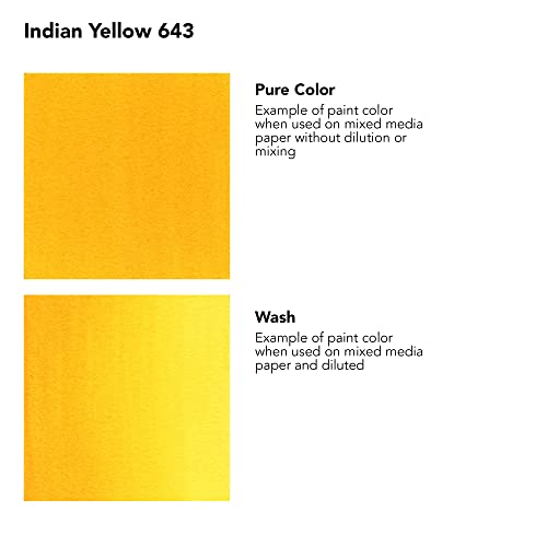 Daler-Rowney FW Acrylic Artists Ink, 1 oz, Indian Yellow (160029643) - size: 1 fl oz