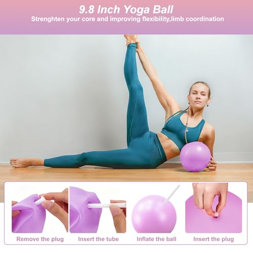 Luscinia Pilates Kit,Home Pilates Ring Kit for Women,Pilates Equipment Ring and Ball Set with Pilates Ring, Pilates Ball, Resistance Bands, Figure 8 Band & Accessories Pilates Starter Kit - color: Purple
