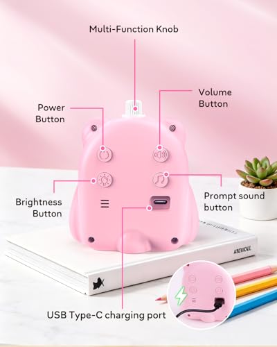 Visual Timer for Kids, 100 Min Digital Timer with Paused, Rechargeable Countdown/Up Timers, 3 Alarm, Silent, Vibrate & Sound Mod, Productivity Timers for ADHD, Classroom, Teacher, Exercise, Study - color: Pink
