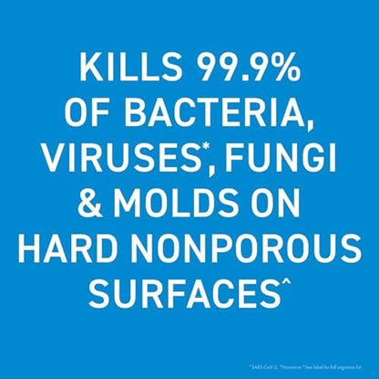 Bioesque Botanical Disinfectant Solution, Heavy Duty Broad-Spectrum Disinfectant, Kills 99.9% of Bacteria, Viruses*, Fungi, & Molds, 5 Gallon (Pack of 1) - size: 640 Fl Oz (Pack of 1)