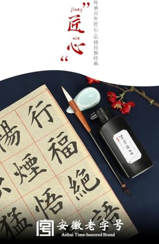 Sumi Ink, Chinese Calligraphy Ink, Liquid Black Carbon Ink, Manga Ink (500ml (17oz), Black) - size: 16.9 fl oz