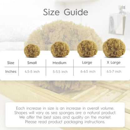 Naroa Exfoliating Natural Sponge for Shower Large | Bath Sea Loofah for Healthy Skin | Unbleached Bathing Body Scrubber Puff | Plastic Free (L)