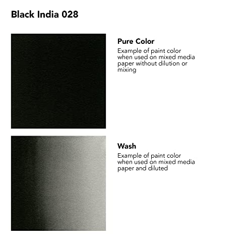 Daler-Rowney FW Acrylic Ink Bottle Black - Versatile Acrylic Drawing Ink for Artists and Students - Permanent - color: Black (India)