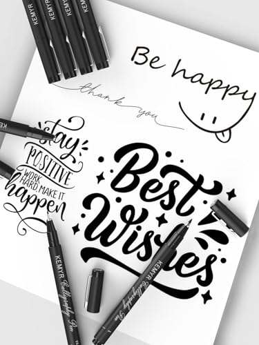 KEMYR 22 Sizes Black Fineliner Micro Drawing Pens, Waterproof Pigment Ink | Archival Ink,AP Certified,Calligraphy Pens with Case for Illustration,Journaling,Sketching,Manga,Artists And Beginners - color: Black Calligraphy&Micro Pens 22 Sizes 0.03mm-L, sty