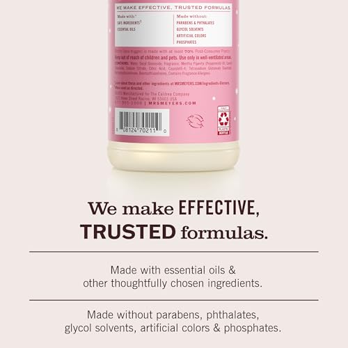 MRS. MEYER'S CLEAN DAY Multi-Surface Cleaner, Peppermint, 16 fl oz - size: 16 Fl Oz (Pack of 1)
