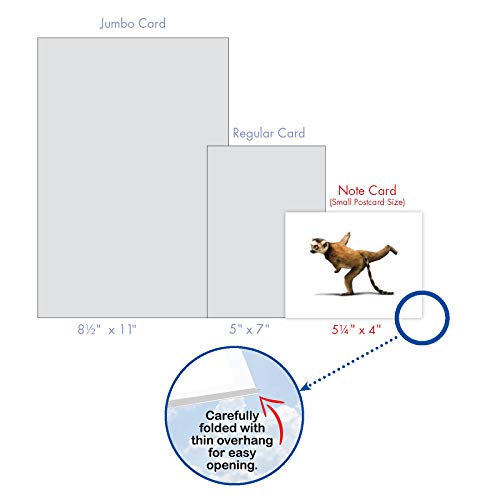 The Best Card Company - 10 Blank Yoga Note Cards (4x 5.12 Inch) - Boxed Notecards with Envelopes, Cute Animal Cards, Zen Assortment - Zoo Yoga M6547OCB - style: Zoo Yoga
