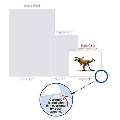 The Best Card Company - 10 Blank Yoga Note Cards (4x 5.12 Inch) - Boxed Notecards with Envelopes, Cute Animal Cards, Zen Assortment - Zoo Yoga M6547OCB - style: Zoo Yoga
