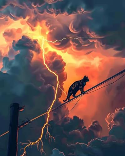 DIY Paint by Numbers for Adults Cat Walk on the Electric Wire DIY Digital Oil Painting Acrylic Paint Cloud Layer Lightning Painting Kits Wall Art Fantasy Scene Room Decor 16x20 Inch（DIY Frame ） - color: Ufo 01, size: 16''x20''(DIY Frame)