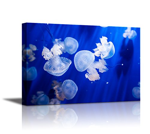 Canvas Wall Art - Jellyfish in an Aquarium with Blue Water | Modern Home Art Canvas Prints Giclee Printing Wrapped & Ready to Hang - 12" x 18" - color: Jellyfish, size: 18"L x 12"W