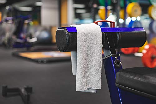 The Rag Company - Sport & Workout Towel - Gym, Exercise, Fitness, Spa, Ultra Soft, Super Absorbent, Fast Drying Premium Microfiber, 320gsm, 16in x 27in (3-Pack) (Ice Grey) - color: Ice Grey