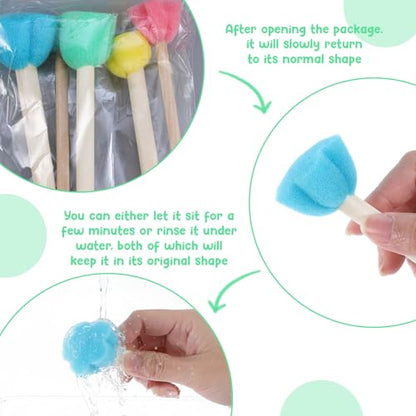 15 PCS Sponge Paint Brushes for Crafts, Foam Paint Brushes for Art Painting | Paint Sponges for Crafts, 5 Sizes Sponge Brushes for Painting DIY Crafts