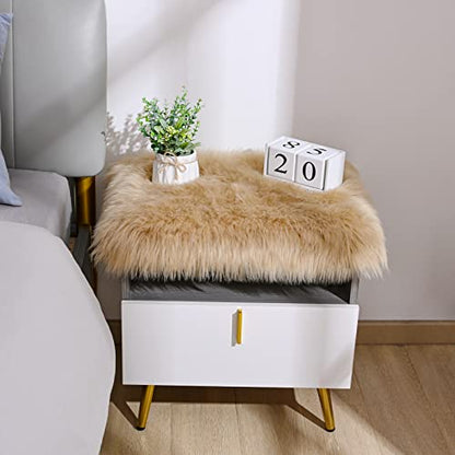 Softlife Camel Faux Fur Sheepskin Chair Cover 2 PCs Seat Cushion Pad Super Soft Area Rugs for Living Bedroom Sofa Dorm (1.6ft x 1.6ft) - color: Camel-2pcs