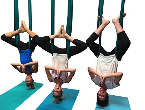 F.Life Aerial Silk Yoga Hammock & Swing for yoga Inversion,Strength training,starter hardware kit - color: blackish green