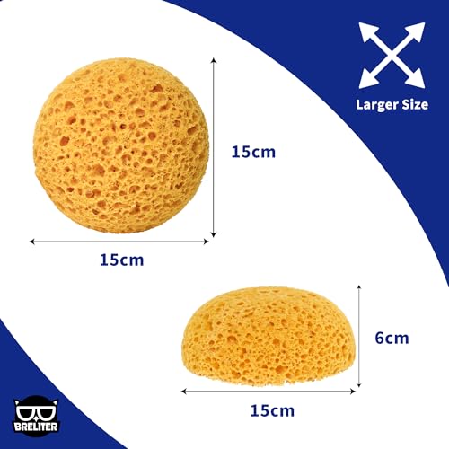 Breliter Knockdown Texture Sponge 2 Pack 15x15x6cm Large Paint PU Sponges