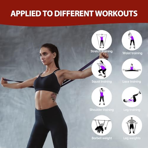 Resistance Bands, Pull Up Assistance Bands Set for Men & Women, Exercise Workout Bands for Working Out, Muscle Training, Physical Therapy, Body Stretching