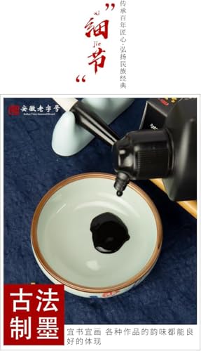 Sumi Ink, Chinese Calligraphy Ink, Liquid Black Carbon Ink, Manga Ink (500ml (17oz), Black) - size: 16.9 fl oz