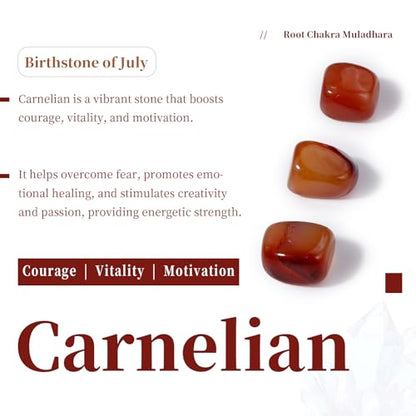 SUNYIK Natural Carnelian Tumbled Chips Stones with Sacral Chakra Pillow | 0.5LB/230g Crushed Crystal Quartz Chips for 7 Chakra Healing Meditation Yoga Reiki Energy Balancing - color: #3-orange/Orange