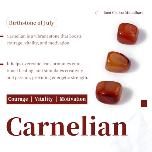 SUNYIK Natural Carnelian Tumbled Chips Stones with Sacral Chakra Pillow | 0.5LB/230g Crushed Crystal Quartz Chips for 7 Chakra Healing Meditation Yoga Reiki Energy Balancing - color: #3-orange/Orange