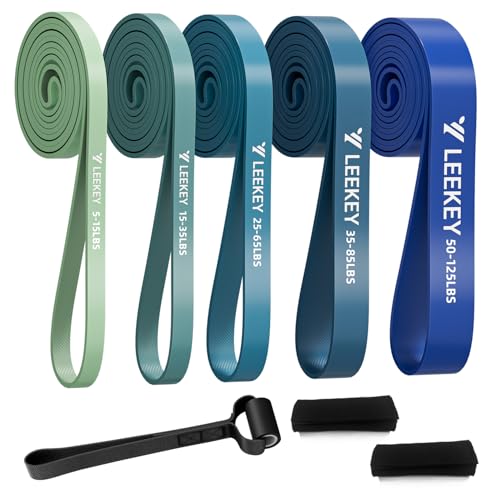 LEEKEY 5-Level Pull Up Assistance Bands Full-Body Training | Resistance Bands with Grip、Door Anchor Physical Therapy Home Gym Workouts Strength Bands for Senior/Adults - style: 5-125LBS BLUE