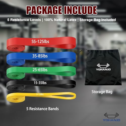 5-Level Resistance Bands, Workout Bands for Exercise | 5-125Lbs Pull-Up Assist Bands,Physical Therapy & Stretching – Multiple Resistance Levels for Home Gym & All Fitness Goals