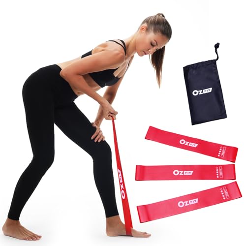 Resistance Bands Set for Men and Women, Pack of 5 Different Levels Elastic Band for Home Gym Long Exercise Workout – Great Fitness Equipment for Training, Yoga, Free Carrying Bag - color: Red Set of 3 Heavy (20-30lbs)