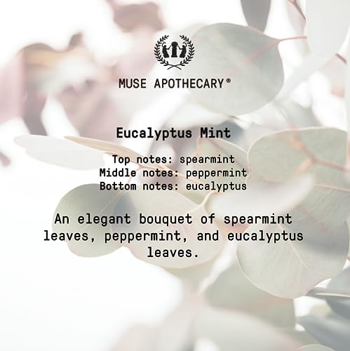 Muse Apothecary Yoga Ritual - Aromatic and Refreshing Yoga Mat Cleaner, 8 oz, Infused with Essential Oils - Eucalyptus Mint - size: 8 Fl Oz (Pack of 1)