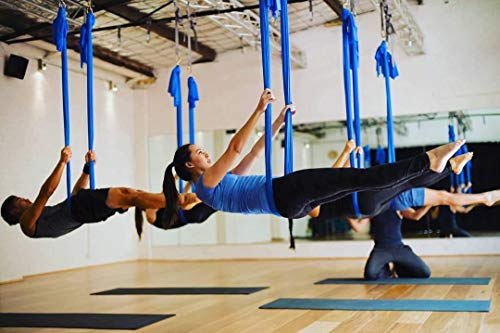 F.Life Aerial Silk Yoga Hammock & Swing for yoga Inversion,Strength training,starter hardware kit - color: royal blue