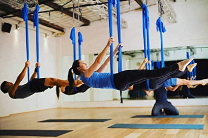 F.Life Aerial Silk Yoga Hammock & Swing for yoga Inversion,Strength training,스타터 하드웨어 키트 - color: 로열 블루