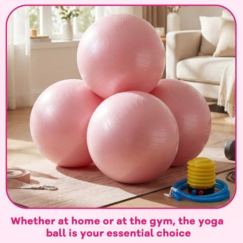 Leyndo 4 Pcs 26 Inch Yoga Exercise Ball Pilates - color: Light Pink