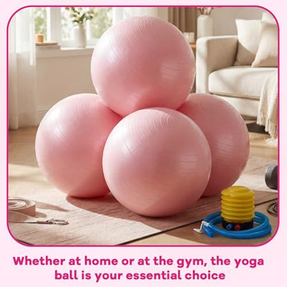 Leyndo 4 Pcs 26 Inch Yoga Exercise Ball Pilates - color: Light Pink