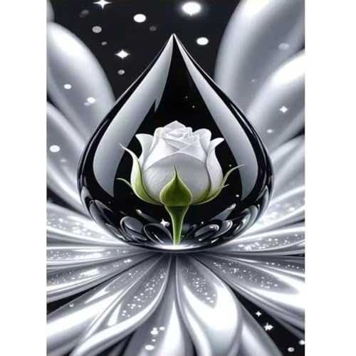 Waterdrop Rose 5D Diamond Art Kits for Adults DIY Painting 12 x 16 inch | Diamond Painting Kits for Beginners,Full Round Drill Gem Art Kits, Diamond Dots Kit Home Decor - color: SH177