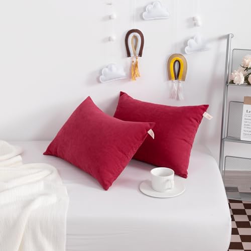 NTBAY Tiny Pillows, Set of 2, 7"x11", Red - color: Red, size: 11"x7"