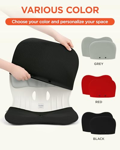 curble WIDER COVER, Detachable Cover for Teenager Chair, Ergonomic Chair Back Support and Lumbar Support (Cover Black) - color: Cover Black