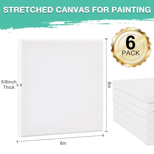 ESRICH Stretched Canvas, 6 Pack 8x8, Primed Acid-Free, Wood Framed Blank Canvas, Art Canvases for Beginners, Artists, Used for Oil, Acrylic Paint, Pouring Painting - style: 6 Packs Stretched Canvas - 8*8in