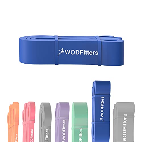 WODFitters Pro Series Pull-Up Assistance Bands – Premium Resistance Loop Bands for Assisted Pull Ups, Muscle Ups, Strength Training & Mobility – Durable Bands for Functional Fitness - color: #5 Blue
