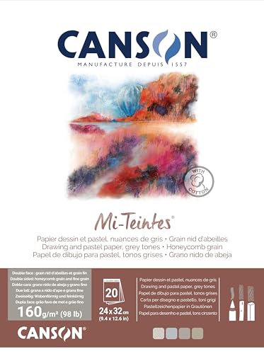 Maruman C31032P003 Canson Mi Tanto Pad, Gray Tone, 4 Color Assortment, 9.4 x 12.6 inches (24 x 32 cm) | Drawing, Pastel Paper, Double Sided: Honeycomb & Fine Grain, Pad Glued Short Side, For Professional Artists & Illustrators - style: Grey Tone Assorted