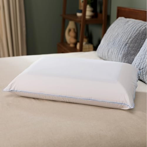 Tempur-Pedic TEMPUR-Cloud Dual Cooling Pillow, King (Pack of 1), White - color: King, size: 1