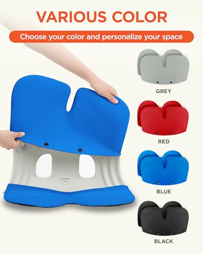 curble Grand Cover, Detachable Cover for Adult Chair, Ergonomic Chair Back Support and Lumbar Support (Blue) - color: Cover Blue