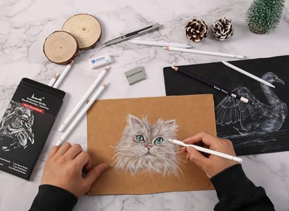 Brusarth Professional White Charcoal Pencils Set, 12 Piece | Sketch Highlight White Pencils Set for Drawing, Sketching, Shading, Blending, Artist Pencils for Artists, Beginners - color: White