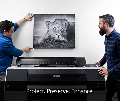 Breathing Color Timeless Archival Print Varnish - 1 Pint, Matte Finish, Premium Canvas Coating, Water Based UV Protection, No Glare Finish, 100+ Years Certified Archival - size: Pint