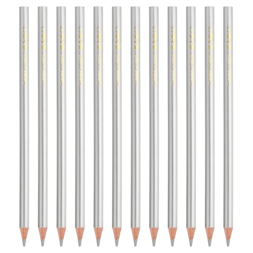 PATIKIL Silver Colored Pencils Set,12 Pcs Oil Color Pencils Wooden Coloring Drawing Pencil for Artists Art Painting | Wooden Coloring Drawing Pencil for Artists Art Painting Office Home Beginner - color: Silver