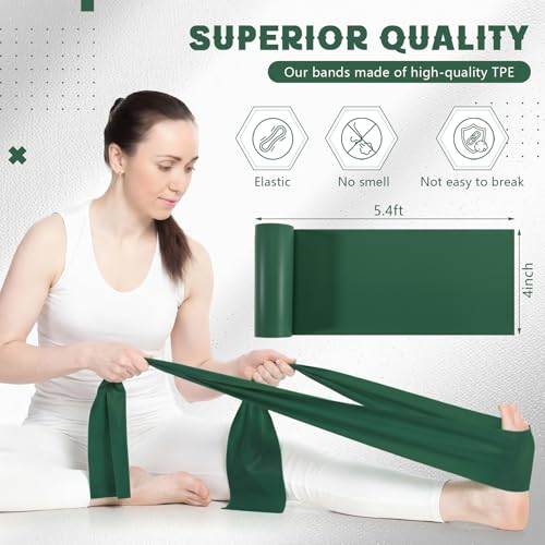 Shappy 10 Pack Resistance Bands, 5.4ft Long Exercise Band Bulk, Non-Latex Elastic Stretch Bands for Physical Therapy, Stretching, Rehab, Yoga, Pilates, Gym, Home Exercise - size: 36 lbs